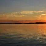 Vadszilva * Balatonoszod