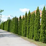 Apartment Vadszilva Balatonoszod