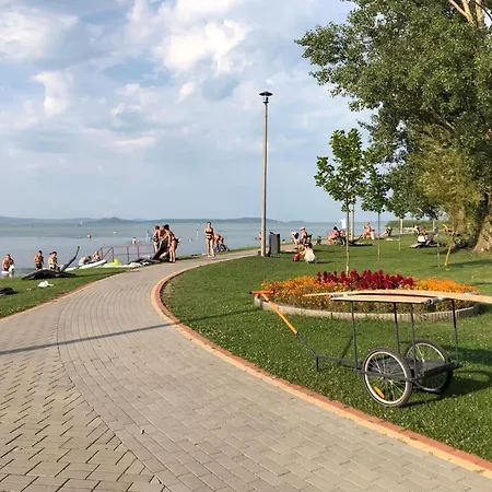 Vadszilva