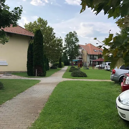 Vadszilva