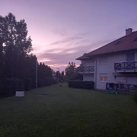 Vadszilva