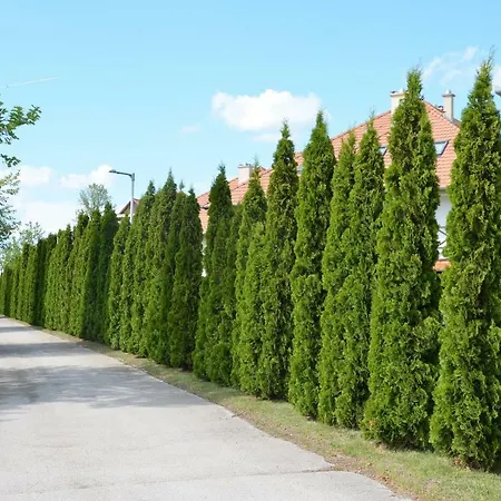 Apartment Vadszilva Balatonoszod