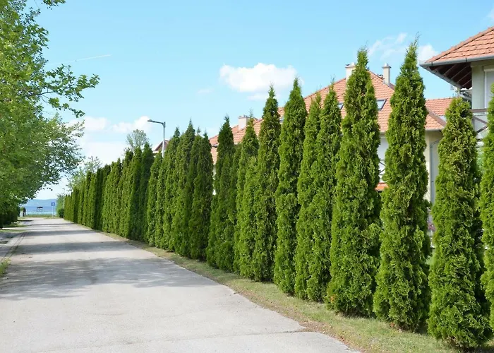 Διαμέρισμα Vadszilva Balatonoszod