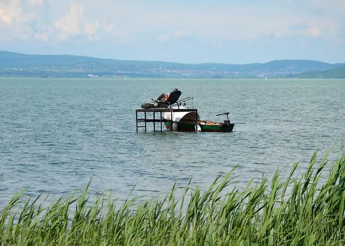 Vadszilva Διαμέρισμα *